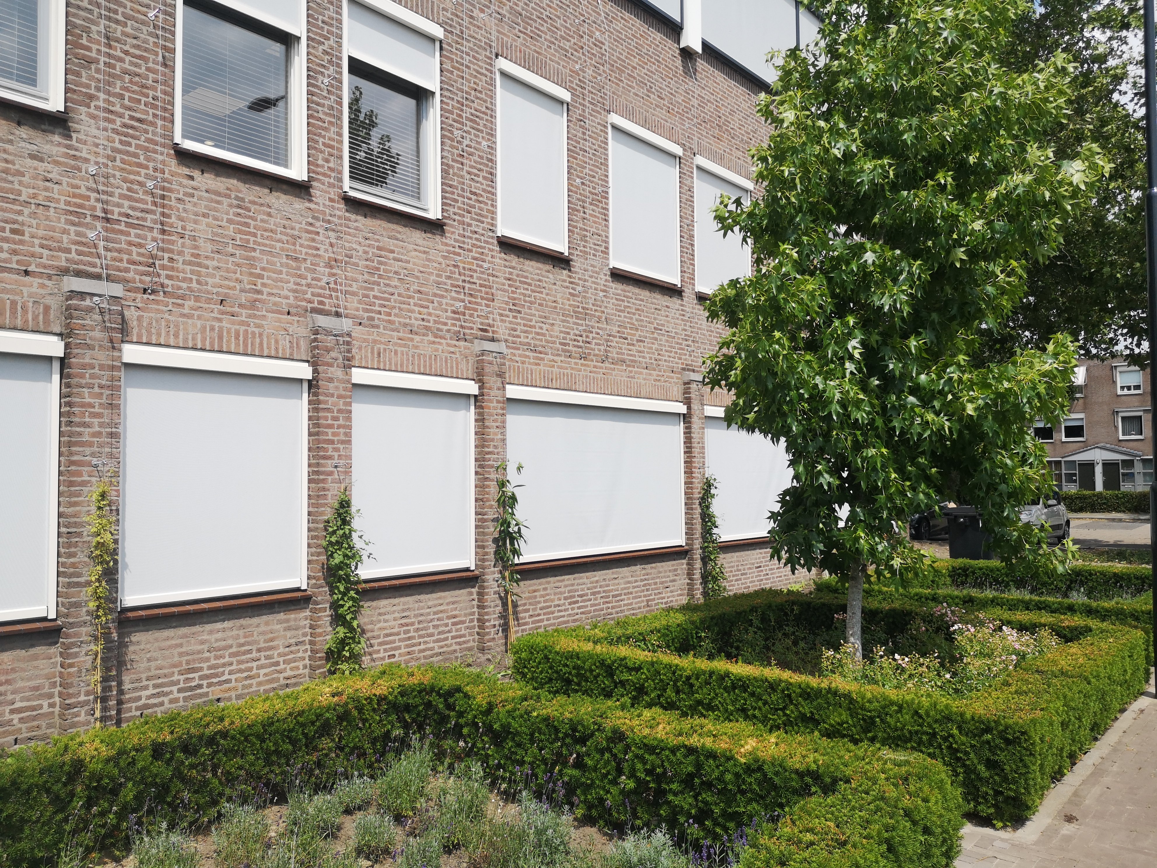 Groene gevel gemeentehuis Maashorst